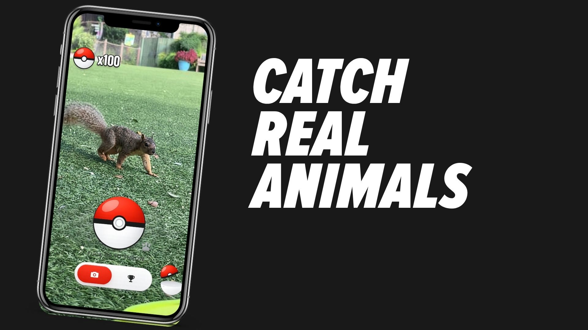 Animal GO! thumbnail